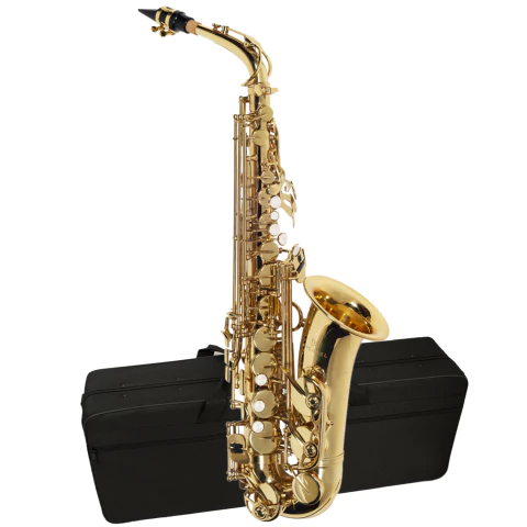 Sax Alto Mib Acabamento Laqueado Michael WASM30N c/ Estojo e Acessórios (Outlet)