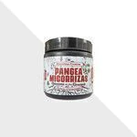 MICORRIZAS PANGEA PREMIUM 250 GR
