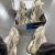 Tenis Mizuno Flor de Lótus Bege