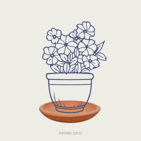 Plato para matera (personalizable)