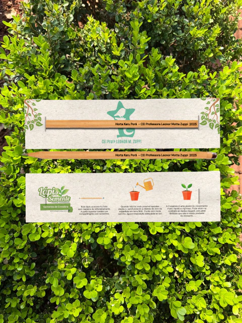 Lápis Semente Personalizado - Encaixe no Encarte - comprar online