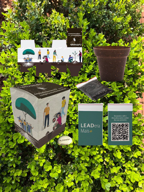 Kit Ecológico Ecobox com Semente Mágica - comprar online