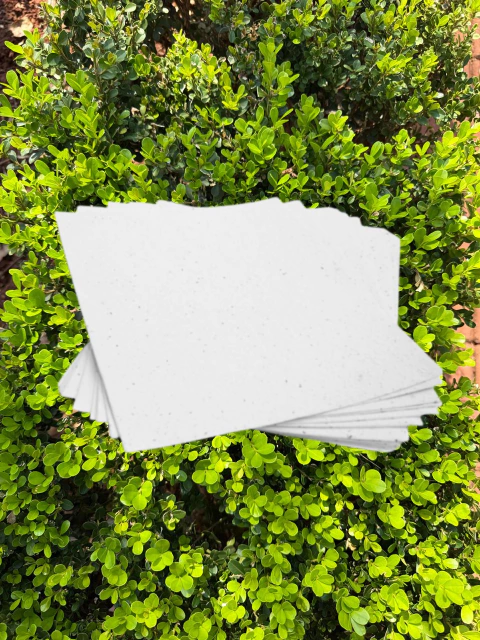 Folhas A4 em Papel Semente - Sem Gravação - comprar online