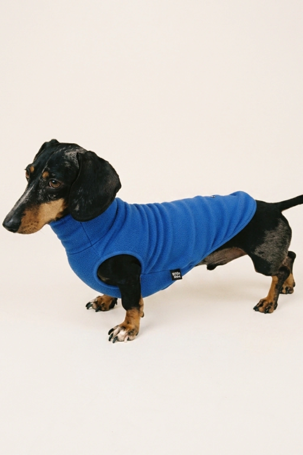 Suéter Pet Soft Premium - Azul Royal