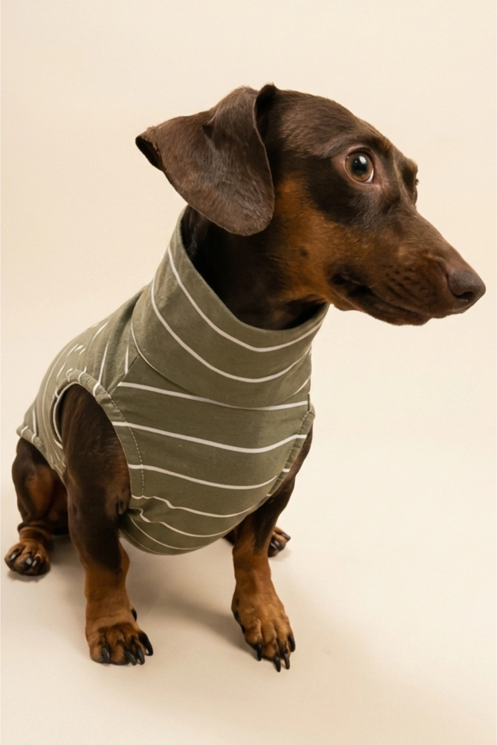 Regata Pet Listrada | Linha Comfy - Matcha