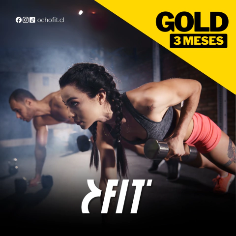 Plan Gold - 3 meses (59.990) - comprar en línea