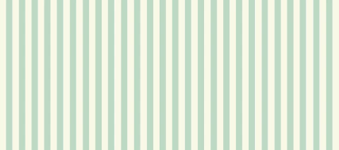 Carrusel Sharkdog Laços e Acessórios Pet