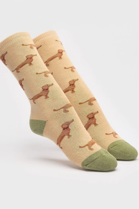 ELEMENTO 740 Térmica 'extra Algodón Y Lycra' Surtida Chicos