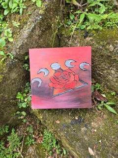 CAIXA ROSA DA TRANSFORMAÇÃO - comprar online