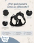 Kit Completo de Paseo en internet