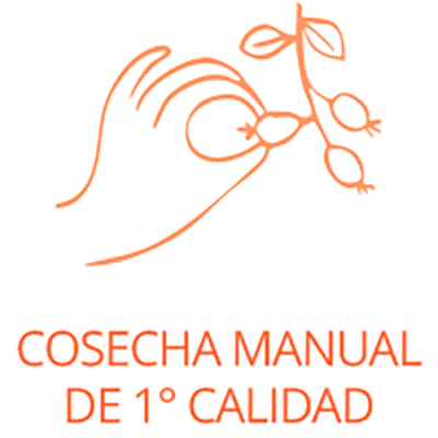 Marca 2 de Gran Jardín - Magia Herbal