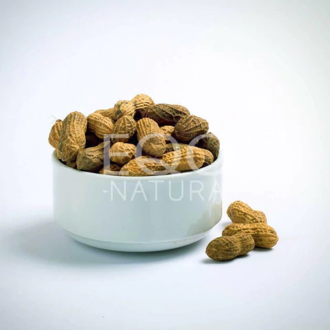 Maní con cáscara boliviano 500gr - comprar online