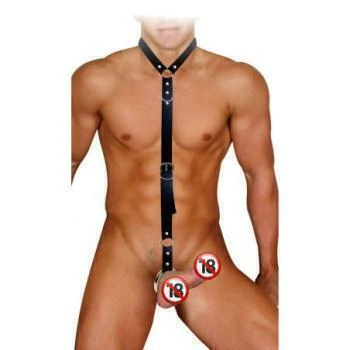 HARNESS Y ANEL PENIANO HUTHLESS