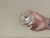 Imagen de Copa Cristal Cerveza 390 Ml x6