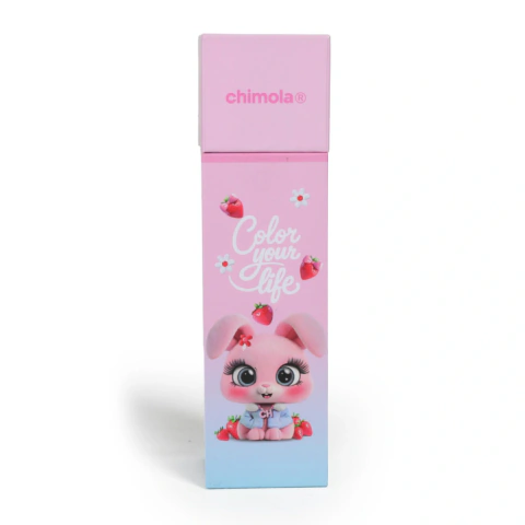 SET DE LAPICES CHIMOLA