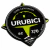Imã Verniz 3D - Urubici logo Verde - comprar online
