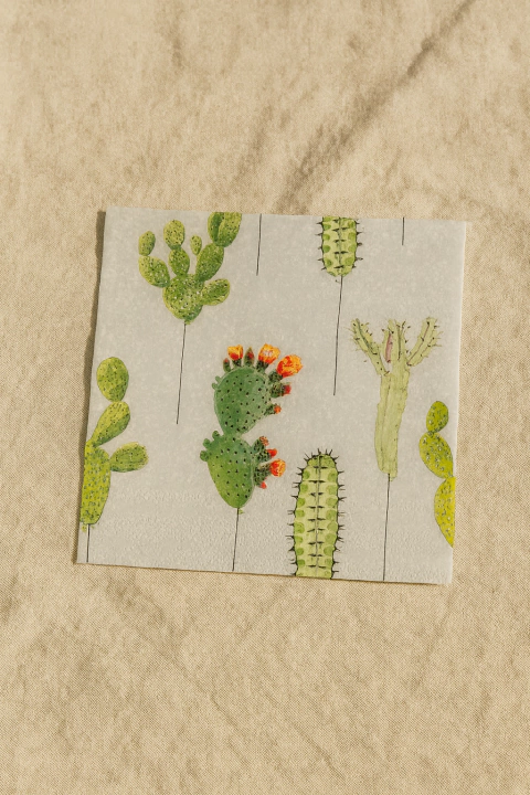 SERVILLETA RIO - comprar online