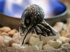 Cuervo PLATA 925 - comprar online