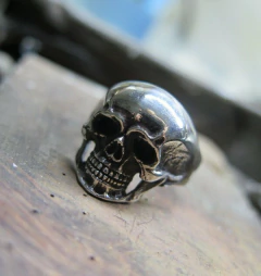 Calavera Sombria PLATA 925 - Moon Beasts