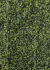 Kit 24 Placas De Samambaia 40x60 Jardim Vertical Artificial Verde na internet