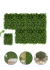 Imagem do Kit 20 Placa Mini Samambaia Eucalipto 40x60 Jardim Vertical Verde