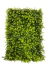 Kit 16 Placas De Eucalipto 40x60 Jardim Vertical Artificial Cheia na internet