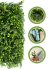 Kit 12 Placas Mini Samambaia Eucalipto Mista 40x60 Jardim Vertical Verde Luxo - loja online