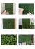 Kit 20 Placa Mini Samambaia Eucalipto 40x60 Jardim Vertical Verde - Mac Ecom Decor