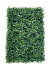 Kit 20 Placas De Buchinho Cheia 40x60 Jardim Vertical Artificial Verde na internet