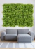 Kit 11 Placas De Samambaia Eucalipto Mista 40x60 Muro Ingles Premium - loja online