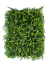Kit 40 Placas Mini Samambaia Eucalipto Mista 40x60 Jardim Vertical Verde Luxo
