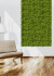 Kit 10 Placas De Eucalipto 40x60 Jardim Vertical Artificial Cheia na internet