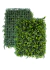 Imagem do Kit 30 Placas Mini Samambaia Eucalipto Mista 40x60 Jardim Vertical Verde Luxo
