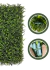 Imagem do Kit 55 Placas De Samambaia 40x60 Jardim Vertical Artificial Verde