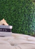 Kit 20 Placa Mini Samambaia Eucalipto 40x60 Jardim Vertical Verde - loja online