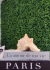 Kit 20 Placa Mini Samambaia Eucalipto 40x60 Jardim Vertical Verde - Mac Ecom Decor