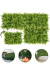 Imagem do Kit 32 Placas De Samambaia Eucalipto Mista 40x60 Muro Ingles Premium