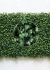 Kit 50 Placas De Buchinho Cheia 40x60 Jardim Vertical Artificial Verde - comprar online