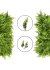 Kit 8 Placas De Samambaia Eucalipto Mista 40x60 Muro Ingles Premium - loja online