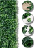 Kit 16 Placas De Buchinho Cheia 40x60 Jardim Vertical Artificial Verde