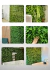 Kit 20 Placas De Samambaia Eucalipto Mista 40x60 Muro Ingles Premium - Mac Ecom Decor