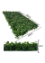 Imagem do Kit 24 Placas De Buchinho Cheia 40x60 Jardim Vertical Artificial Verde