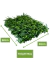 Kit 40 Placas Mini Samambaia Eucalipto Mista 40x60 Jardim Vertical Verde Luxo
