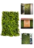 Placa De Grama De Eucalipto 40x60 Jardim Vertical Artificial Cheia - comprar online