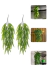 2 Pendentes De Samambaia Artificial Jardim Vertical Folhagem - comprar online