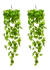 2 Pendentes De Jiboia Artificial Jardim Vertical Folhagem Verde na internet