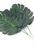 Kit 12 Mini Costela De Adão Artificial Folhagem Decoração - loja online