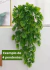 2 Pendentes Costela De Adão Artificial Jardim Vertical Ramos - comprar online