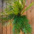 Buque De Palmeira Areca Artificial 60cm Decoração Folhagem na internet