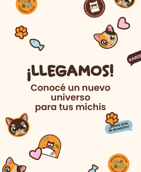 Carrusel BRUSCHIMICHIS